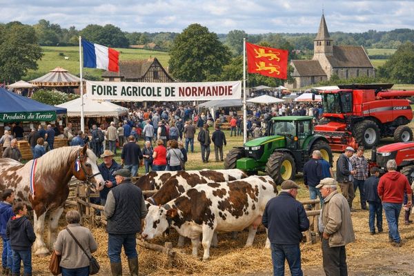 Foire agricole