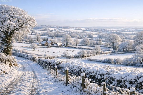 Bocages normands sous la neige