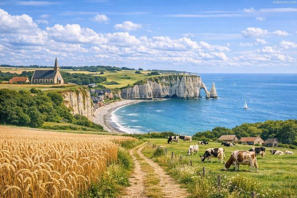 Paysage du Plateau de Caux Maritime (et la célèbre falaise d'Aval)