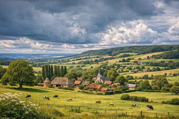 Le Pays de Bray sous les nuages, avec un clos-masure typique entouré de pâtures