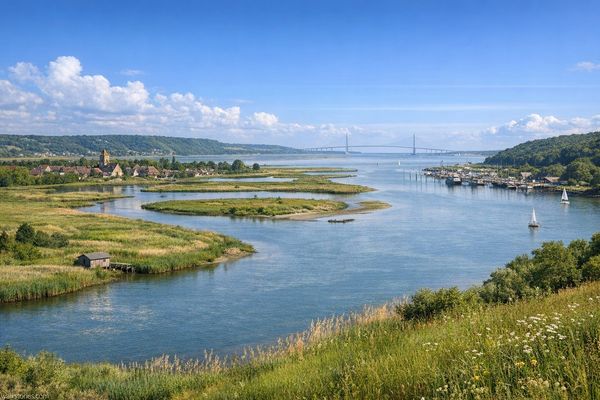 Paysage de la Risle maritime avec vue vers le pont de Normandie