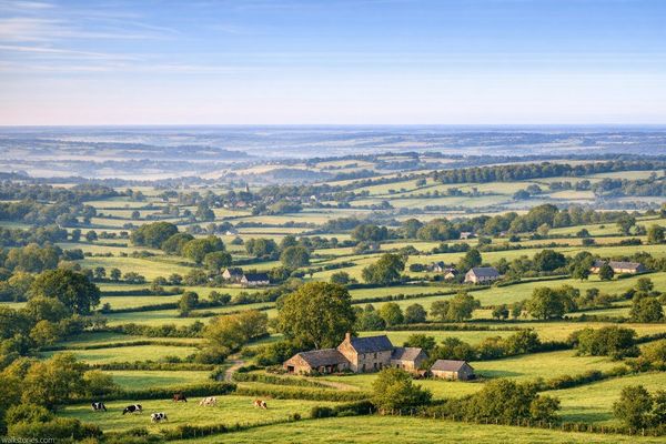 Vue élargie du Bocage normand, avec ses pâturages, ses vallons et ses haies caractéristiques