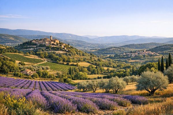 Collines provençales